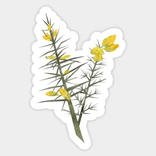 Gorse Sticker